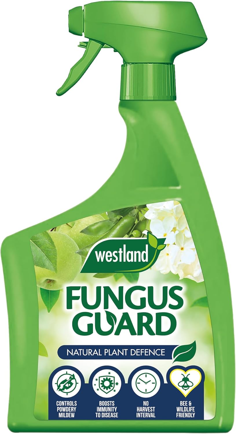 Westland Fungus Guard RTU – 800ml Ready-to-Use Spray