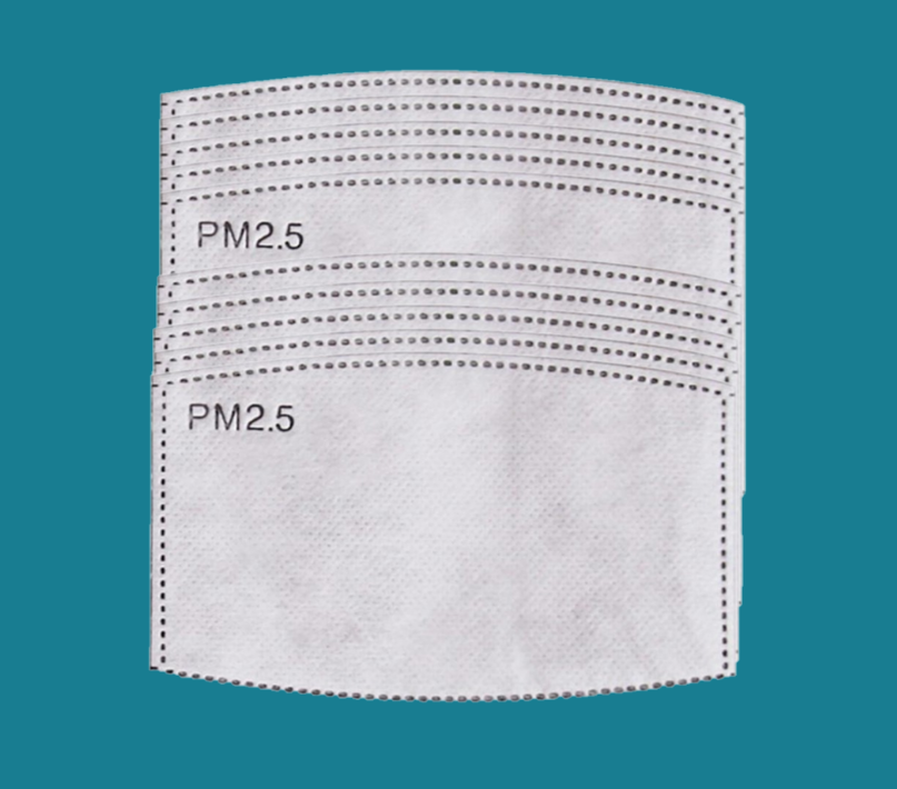 Generise Face Mask Replacement Filters PM 2.5 - 10 Pack For use with Face Masks!