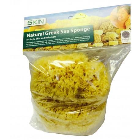 Natural Honeycomb Honey Comb Sea Sponge