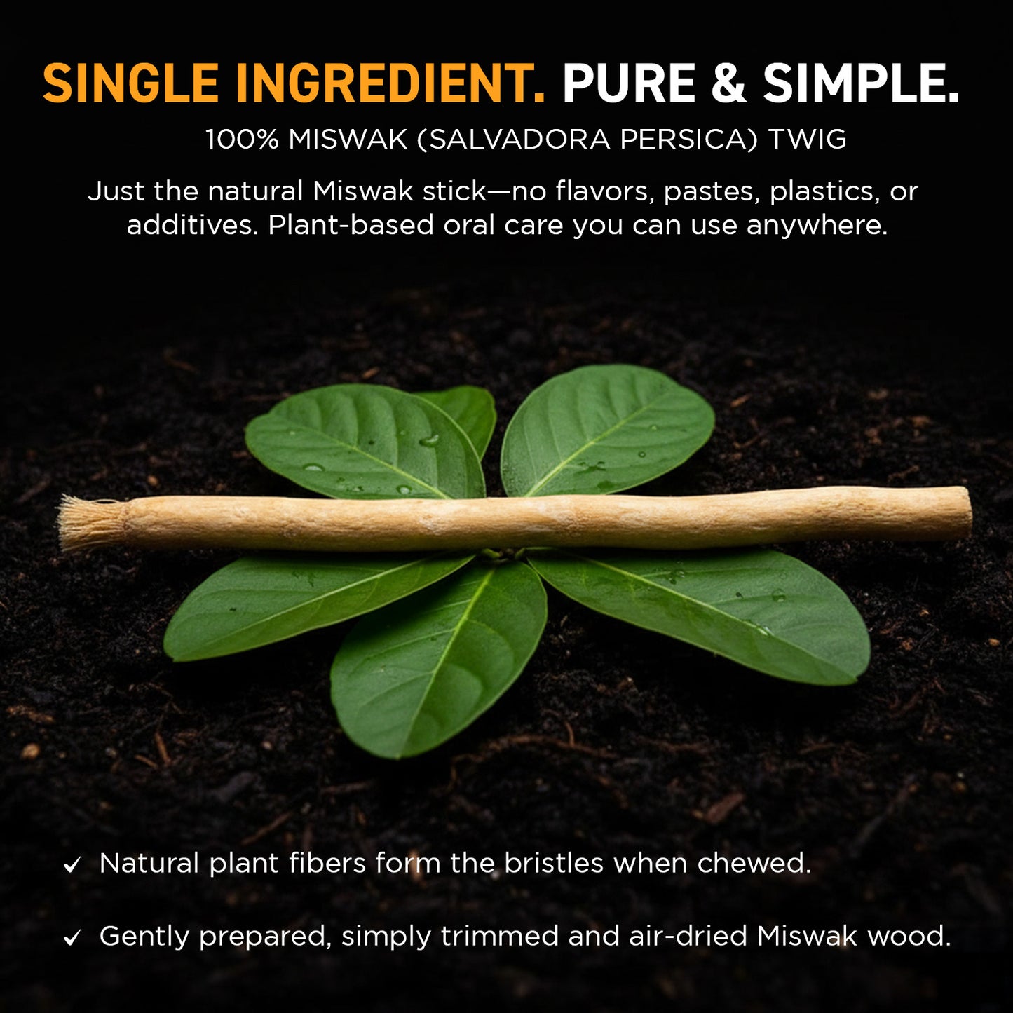 Groomarang Miswak 2 Pack Traditional Toothbrushes - Natural 'On the Go' Teeth Cleaning