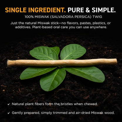 Groomarang Miswak 2 Pack Traditional Toothbrushes - Natural 'On the Go' Teeth Cleaning