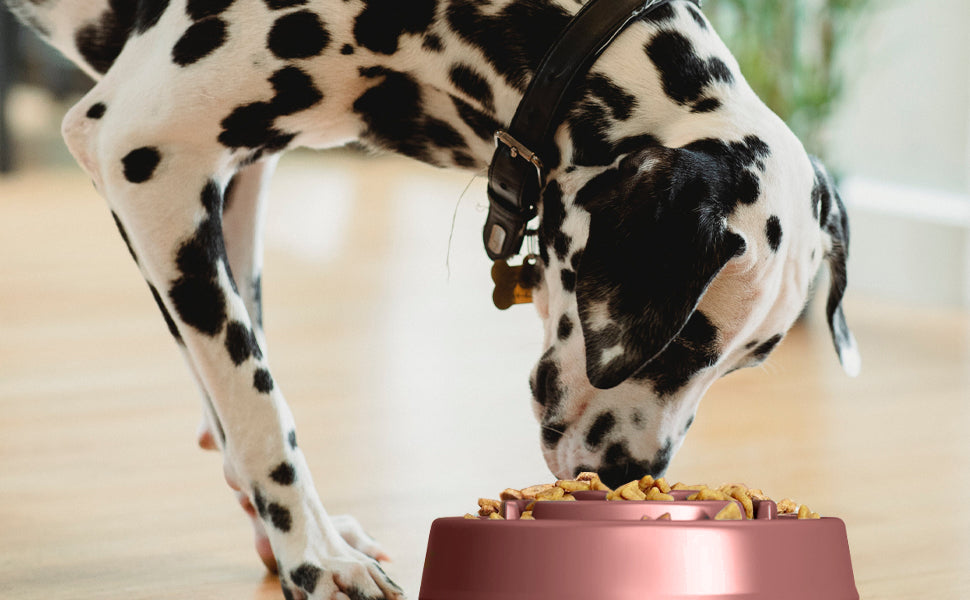 Generise Slow Feeder Dog Bowls