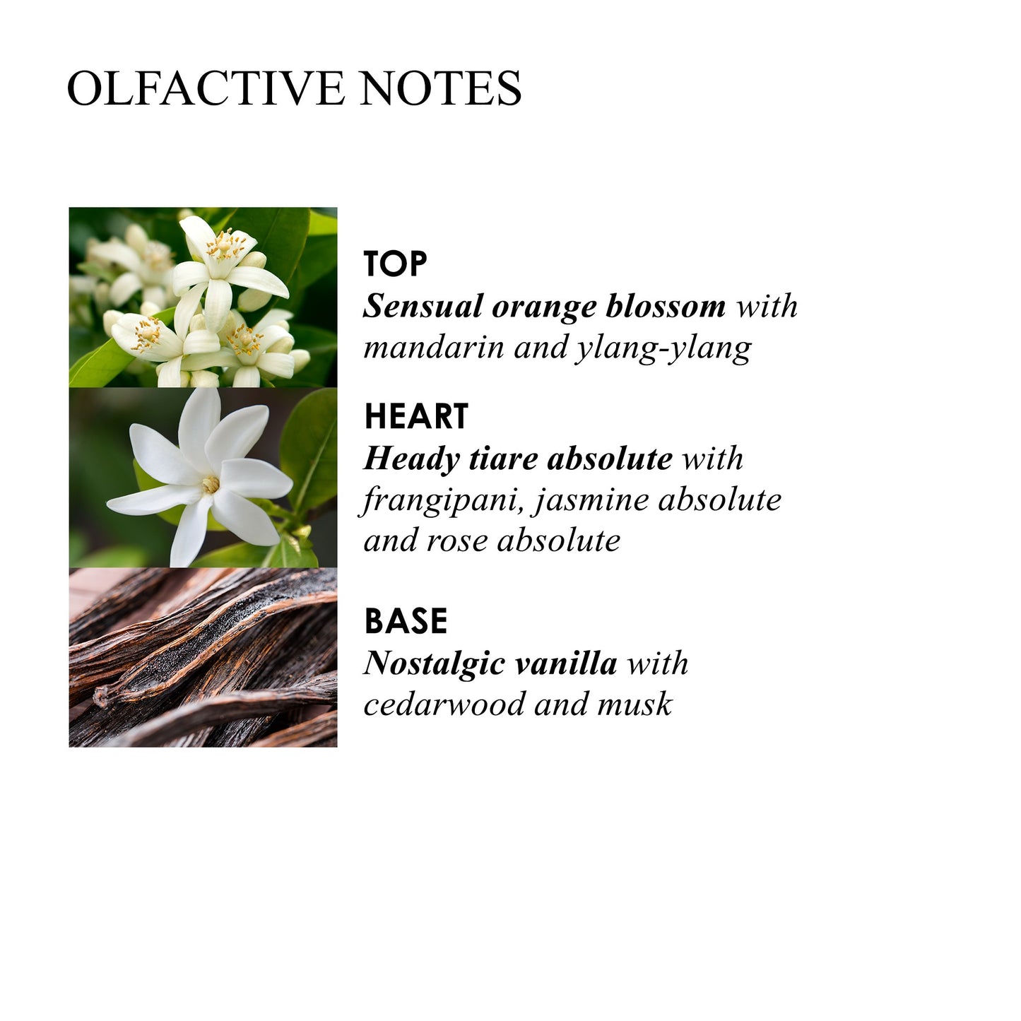 Molton Brown Flora Luminare Hand Cream 40ml