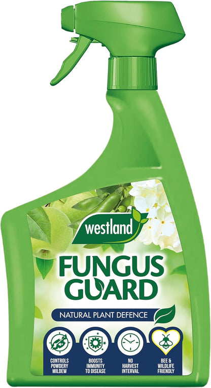 Westland Fungus Guard RTU – 800ml Ready-to-Use Spray