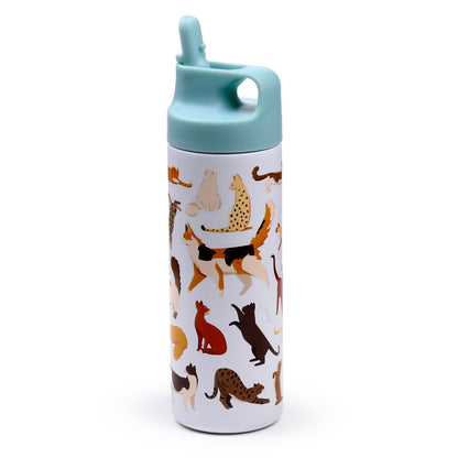 Puckator Feline Fine Cats Hot & Cold Flip Top Drinks Bottle 500ml - Stainless Steel Metal Insulated Water Bottles - Thermos Flask for Kids Girls Adults Mens Boys Drink Hot and Cold Water Bottle