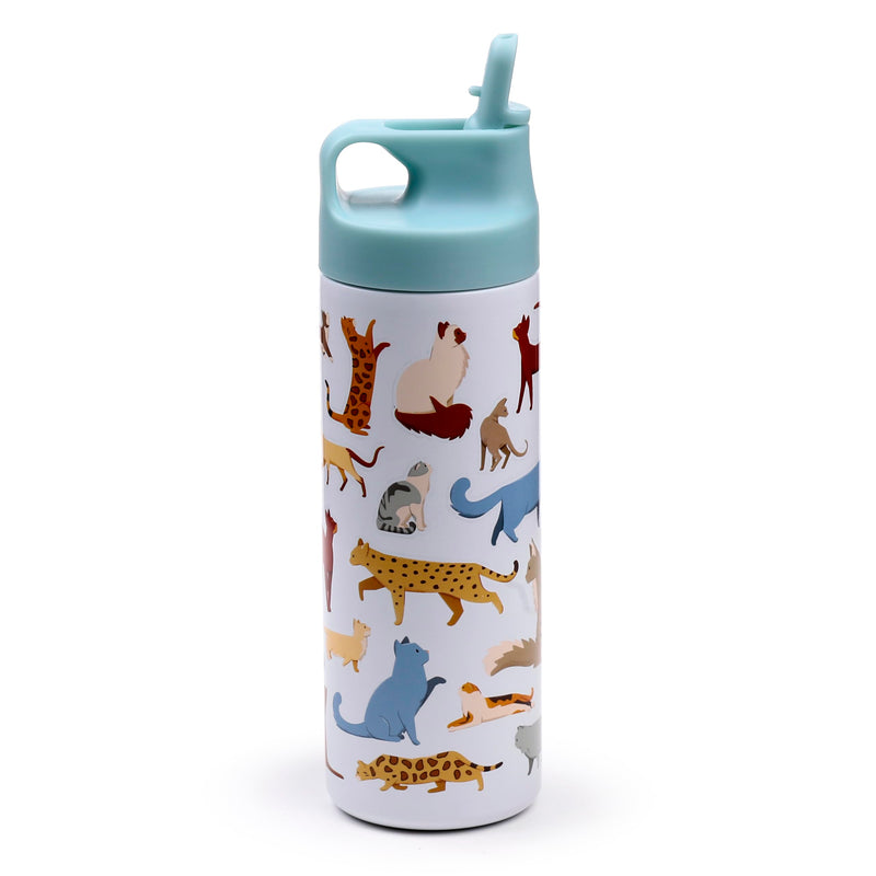 Puckator Feline Fine Cats Hot & Cold Flip Top Drinks Bottle 500ml - Stainless Steel Metal Insulated Water Bottles - Thermos Flask for Kids Girls Adults Mens Boys Drink Hot and Cold Water Bottle