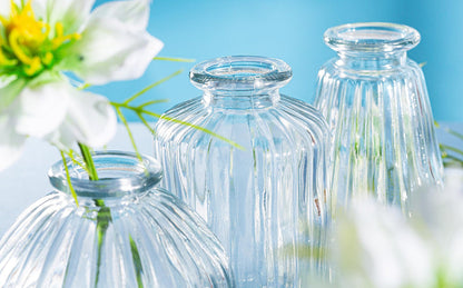 Sass & Belle Plain Glass Bud Vases - Set of 3 Clear