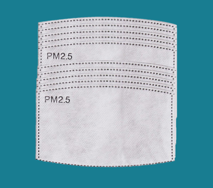 Generise Face Mask Replacement Filters PM 2.5 - 10 Pack For use with Face Masks!