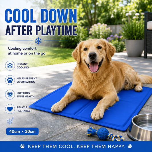 Generise Pet Cooling Gel Mat - 40cm x 30cm- Blue
