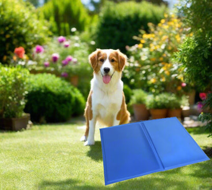 Generise Pet Cooling Gel Mat - 40cm x 30cm- Blue