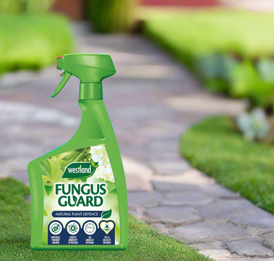 Westland Fungus Guard RTU – 800ml Ready-to-Use Spray