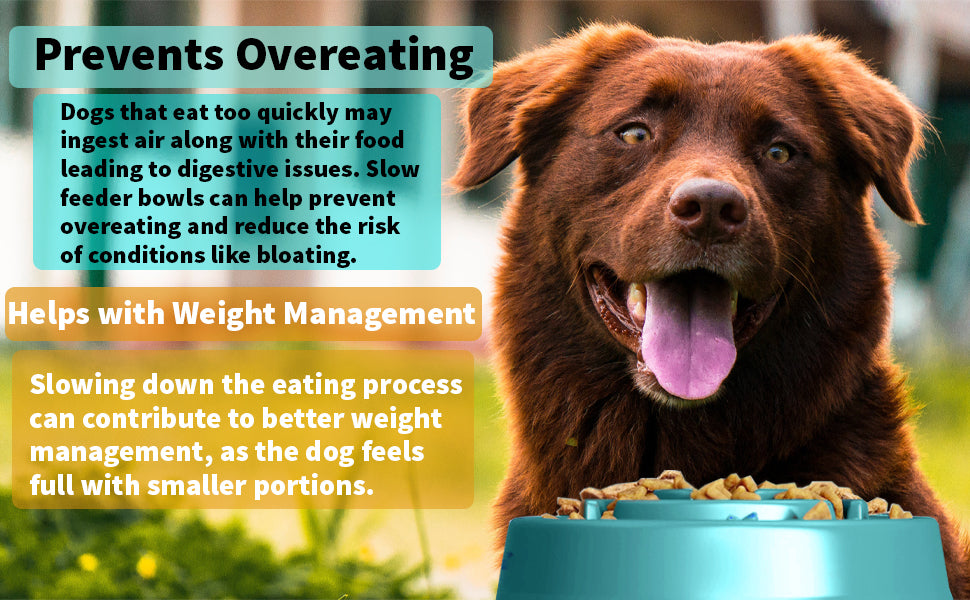 Generise Slow Feeder Dog Bowls
