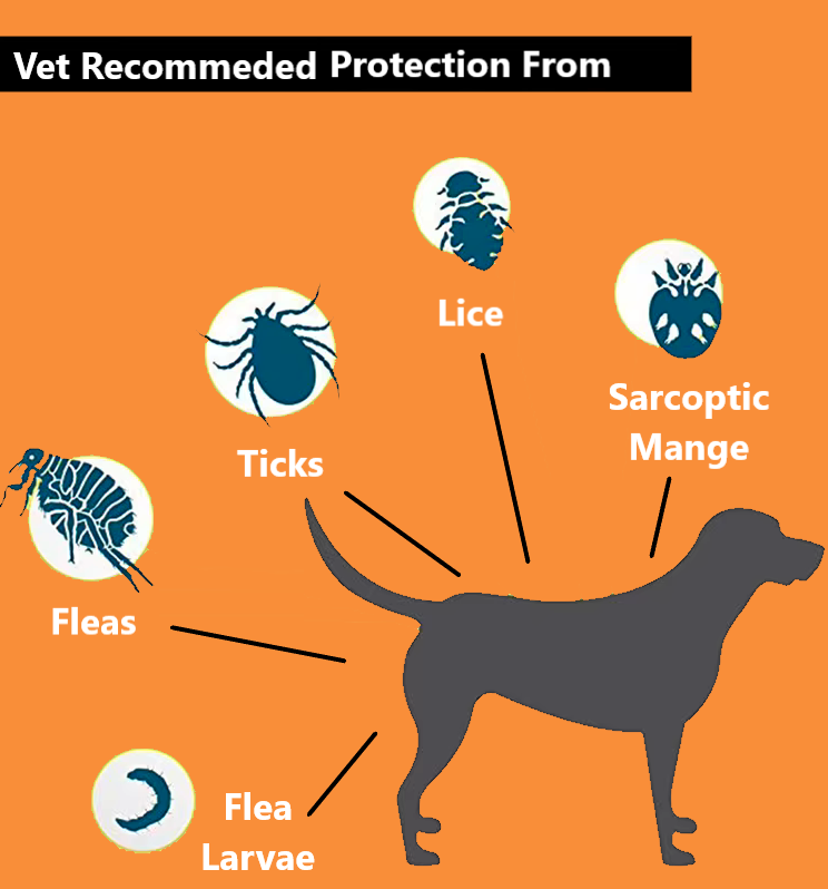 Generise Anti Flea and Tick Collar for Pets – Black