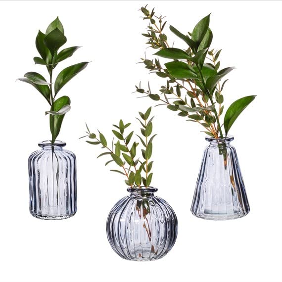 Sass Belle Grey Glass Bud Vases Set Of 3