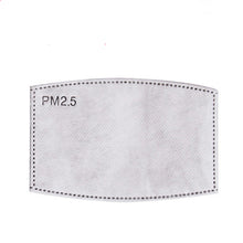 Load image into Gallery viewer, Generise Pack of 10 Replacement Pm 2.5 Filters