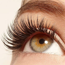 Load image into Gallery viewer, Phoera Eyelash and Eyebrow Serum