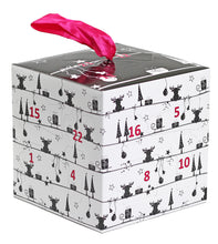 Load image into Gallery viewer, Cube Advent Calendar