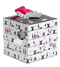 Load image into Gallery viewer, Cube Advent Calendar